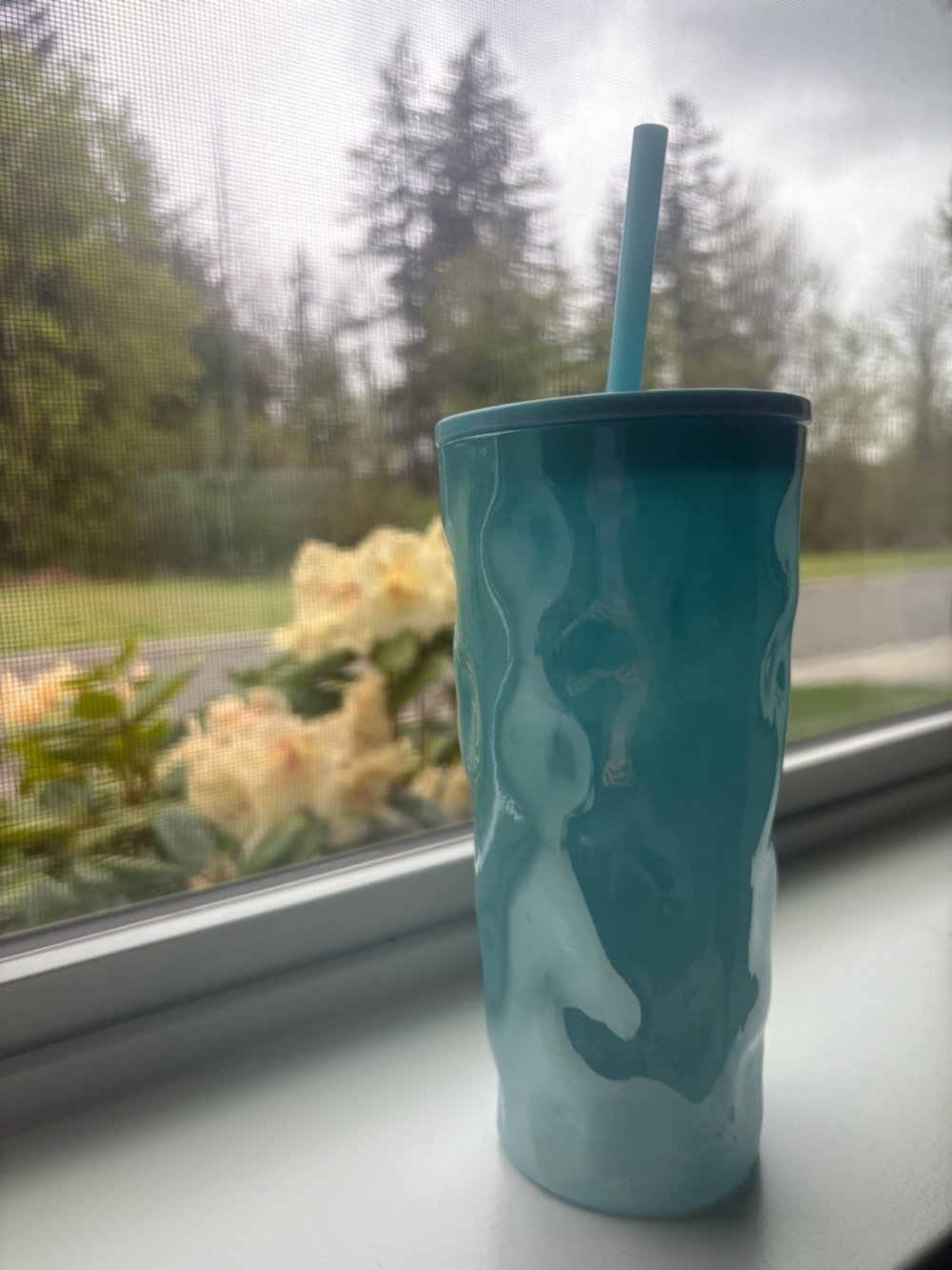 Starbucks Light Blue Acrylic Tumbler 18oz Straw Cup | Summer Iced Coffee
(New)